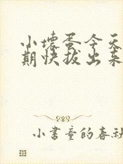 小坏蛋今天危险期快拔出来