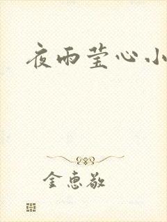 夜雨莹心小说