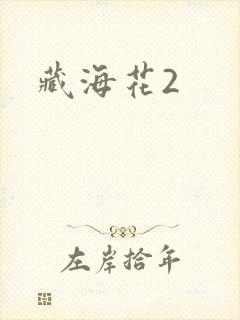 藏海花2