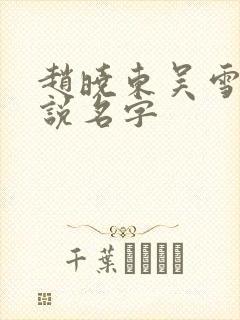 赵晓东吴雪晴小说名字