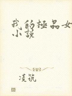 我的极品女老师小说