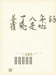 养了八年的金丝雀飞走啦