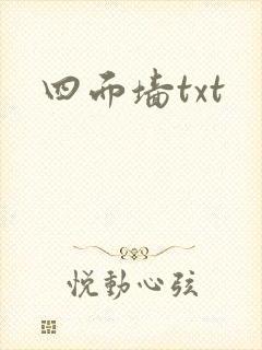 四面墙txt