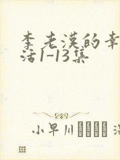 李老汉的幸福生活1-13集