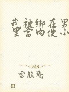 我被绑在男公厕里当肉便小说