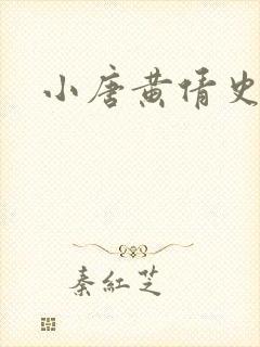 小唐黄倩史