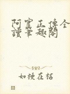 阿宾正传全文阅读笔趣阁