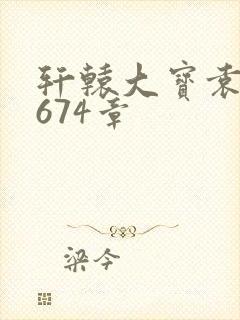 轩辕大宝袁雪妃674章