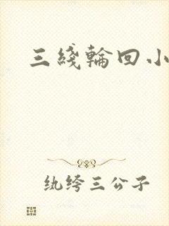 三线轮回小说