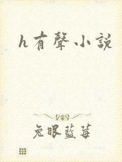h有声小说