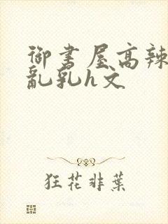 御书屋高辣h文乱乳h文