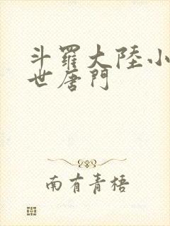 斗罗大陆小说绝世唐门