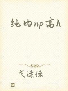纯肉np高h