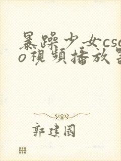 暴躁少女csgo视频播放器推荐