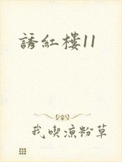 诱红楼11