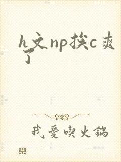 h文np挨c爽了