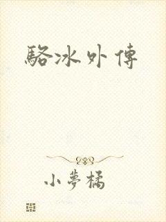 骆冰外传