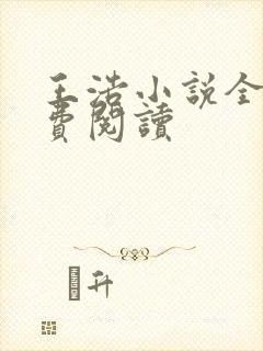 王浩小说全文免费阅读