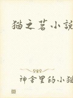 猫之茗小说