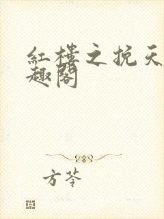 红楼之挽天倾笔趣阁