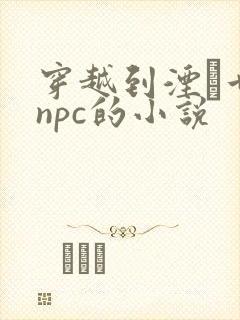 穿越到湮婸世界npc的小说