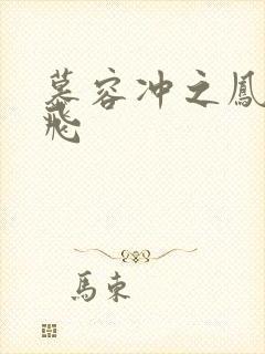 慕容冲之凤凰于飞