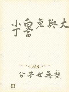 小白兔与大灰狼丁当