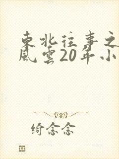 东北往事之黑道风云20年小说