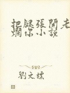 把腿张开老子臊烂你小说