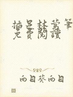 插足林莺笔趣阁免费阅读