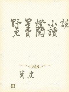 野星灯小说全文免费阅读