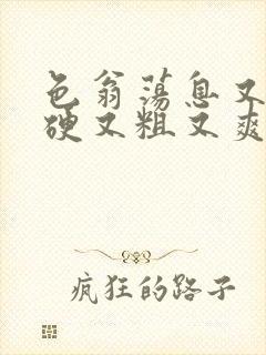 色翁荡息又大又硬又粗又爽电影