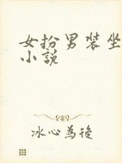 女扮男装坐江山小说