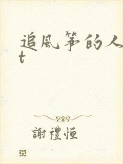 追风筝的人txt
