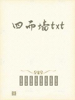 四面墙txt