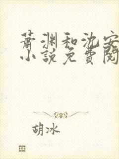 萧渊和沈安安的小说免费阅读