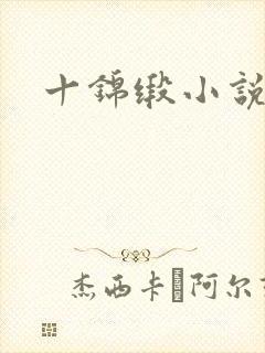 十锦缎小说