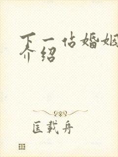 下一站婚姻剧情介绍