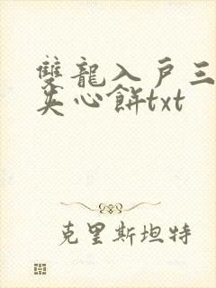 双龙入户三人行夹心饼txt