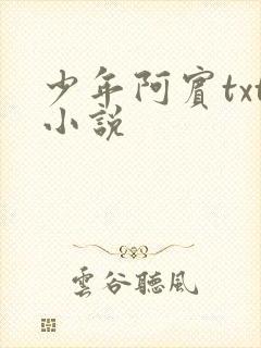 少年阿宾txt小说