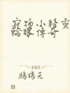 宠物小精灵之写轮眼传奇