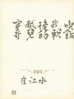 穿越后我吃到了哥儿的软饭炉山灰