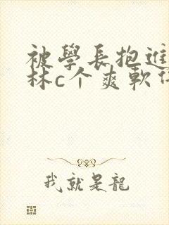 被学长抱进小树林c个爽软件