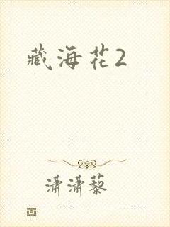 藏海花2