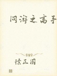 网游之高手寂寞