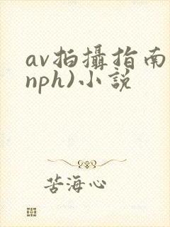 av拍摄指南(nph)小说