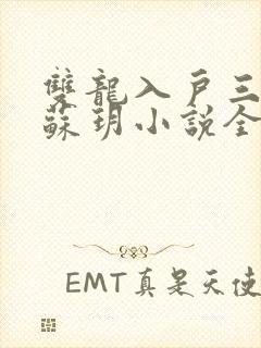 双龙入户三人行苏玥小说全文阅读