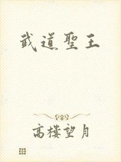 武道圣王