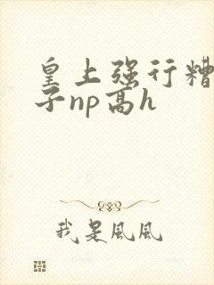 皇上强行糟蹋太子np高h