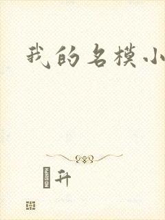 我的名模小娇妻